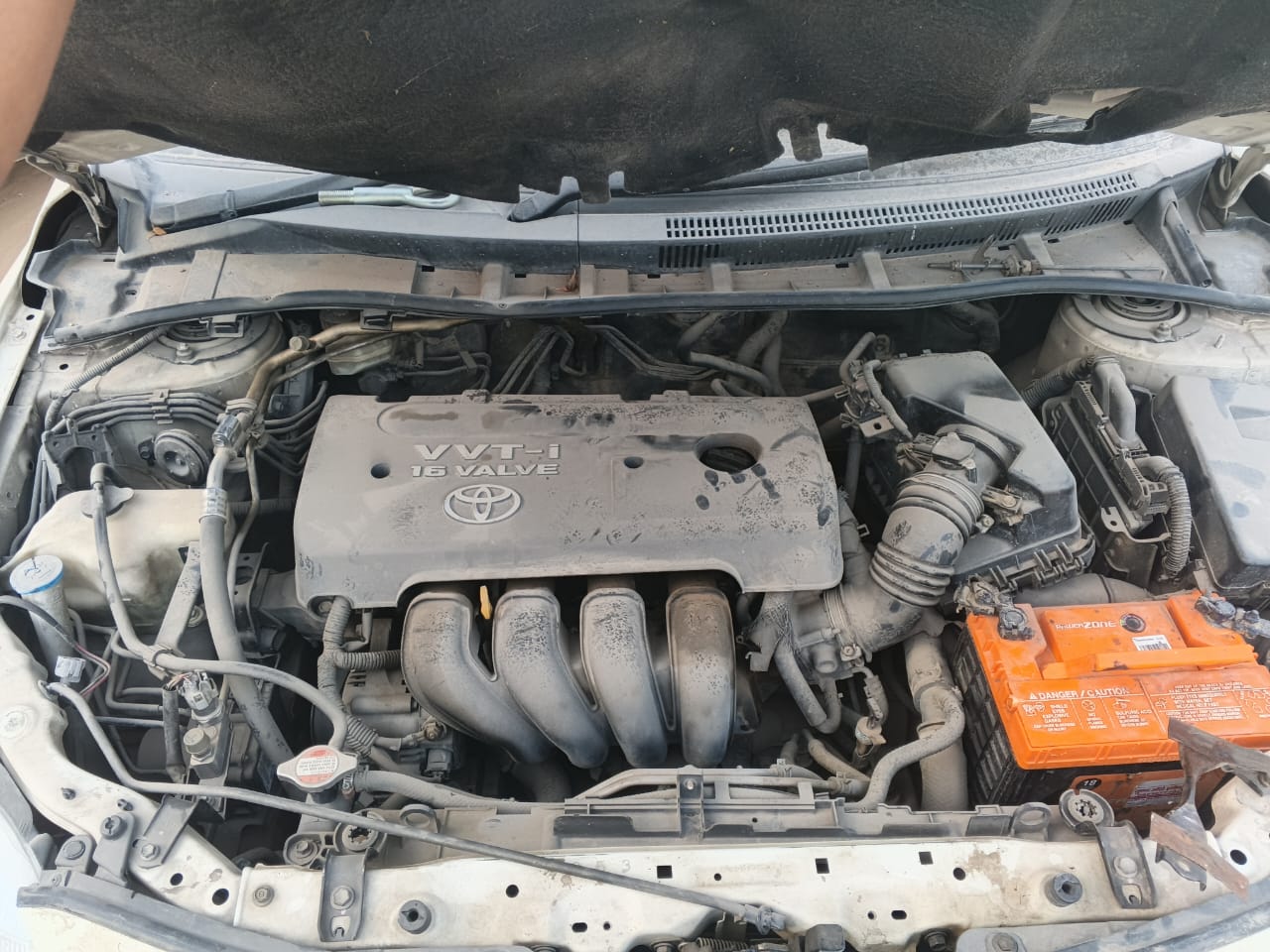 COROLLA ALTIS(TOYOTA)