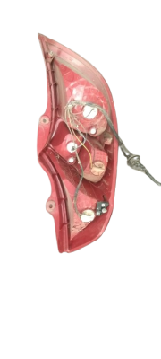 Buy New and Used Car Spare Parts