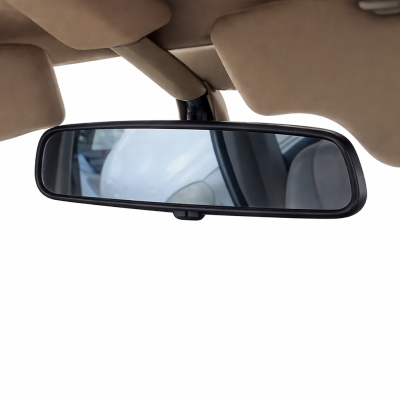 INTERIOR MIRROR ASSY