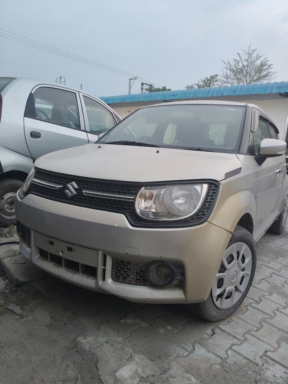IGNIS(MARUTI)